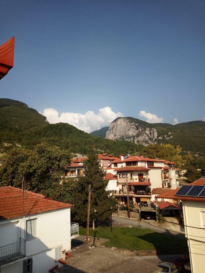 Big Next To Olympus Mountain Apartment Litochoro