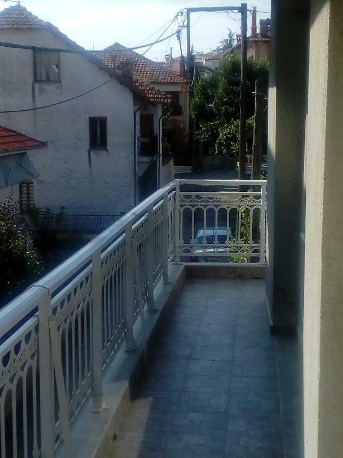 Apartment Big Next To Olympus Mountain Litochoro