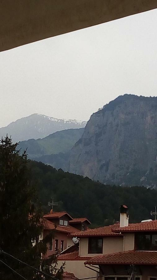Big Next To Olympus Mountain Apartment Litochoro